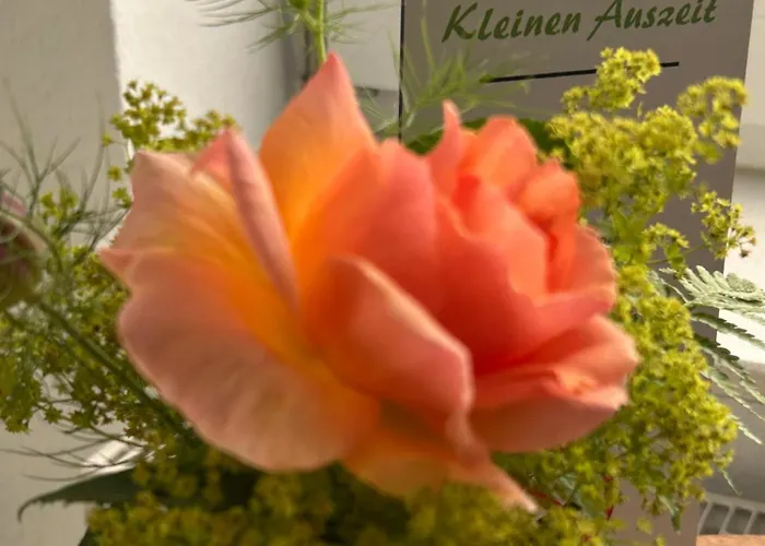 Lejlighed Kleine Auszeit